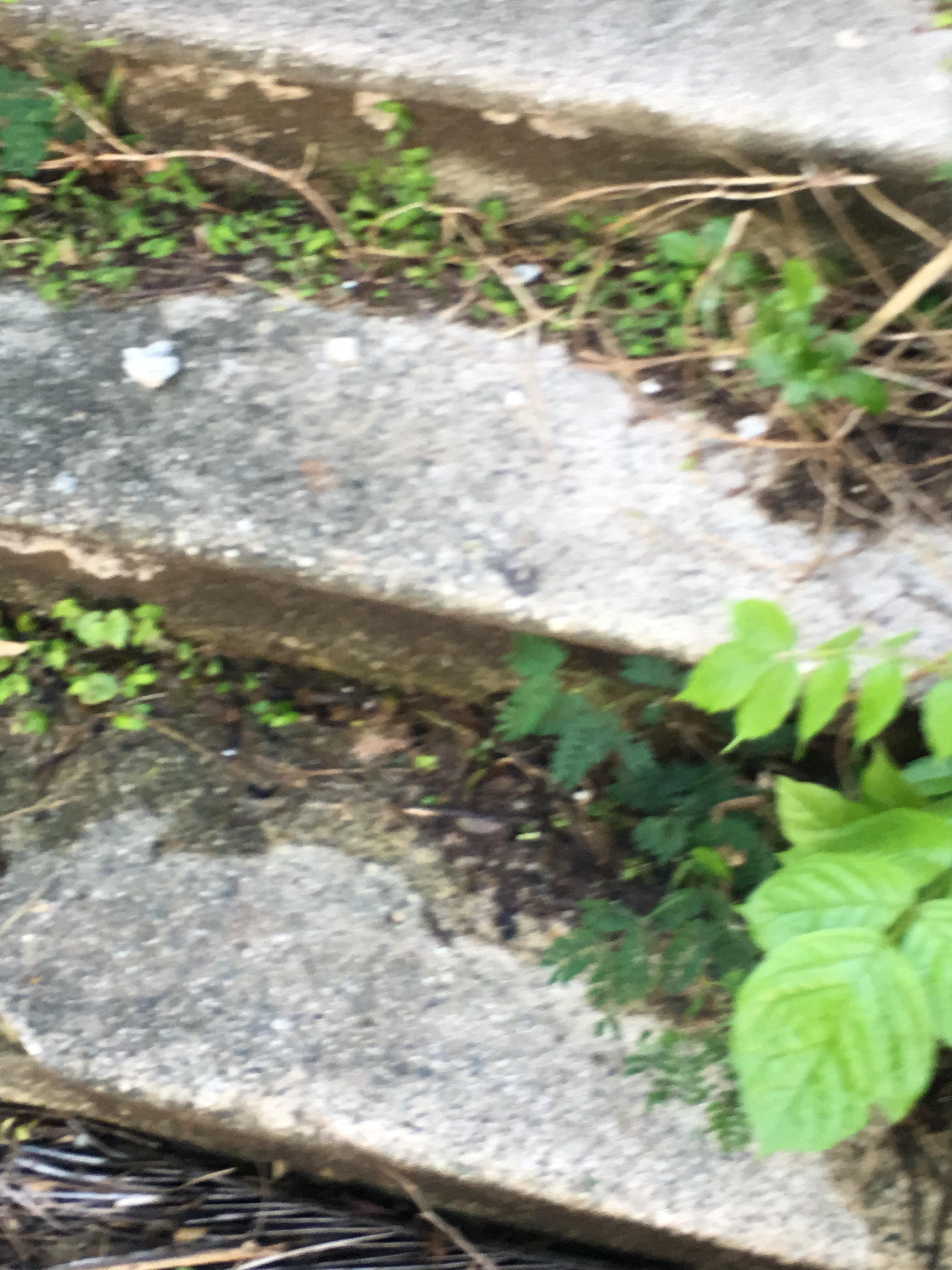 Castillo Villa del Mar - Naguabo - 2015 00098